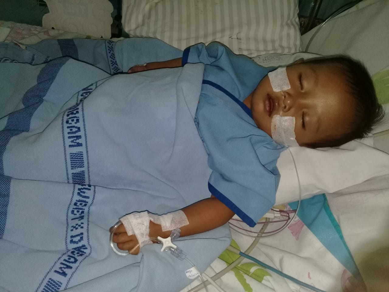 benihbaik_2022-12-27_44920c33cb30050333d8cd504dec71b8595468bc_jpeg