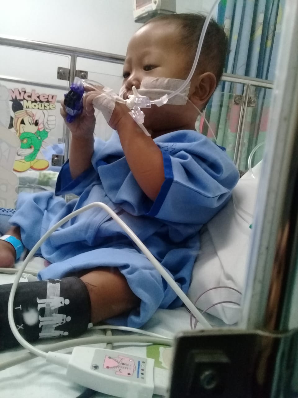 benihbaik_2022-12-27_a605bc3ec71a15b28ada9a9e345f60e4048b000d_jpeg