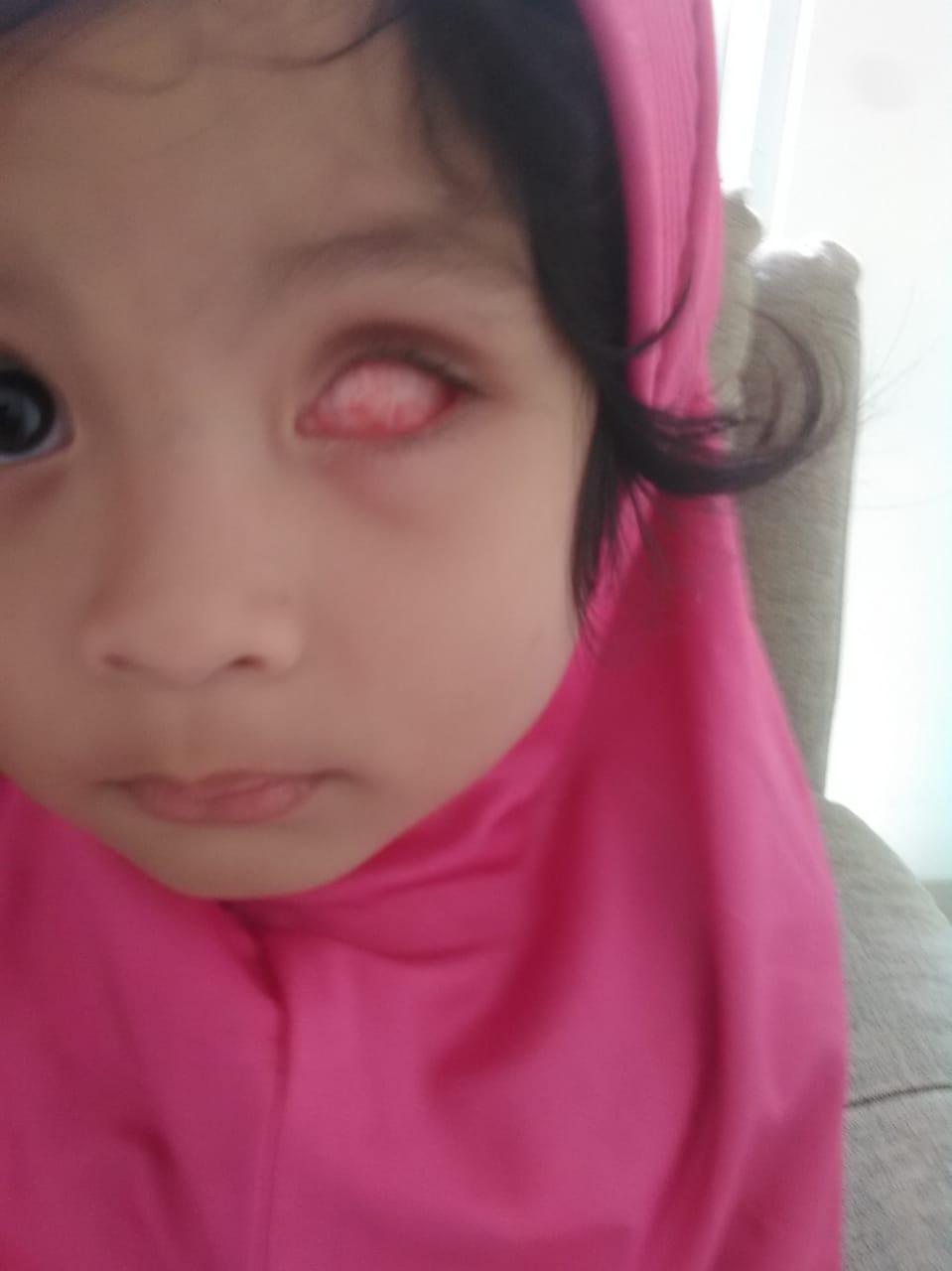 benihbaik_2023-01-02_1759c4470300f044b65e98ac291f7772565cd14f_jpeg