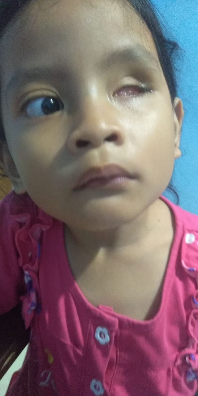 benihbaik_2023-01-02_36fd64e9a75b473cf557abbcac67ff28254828cc_jpeg