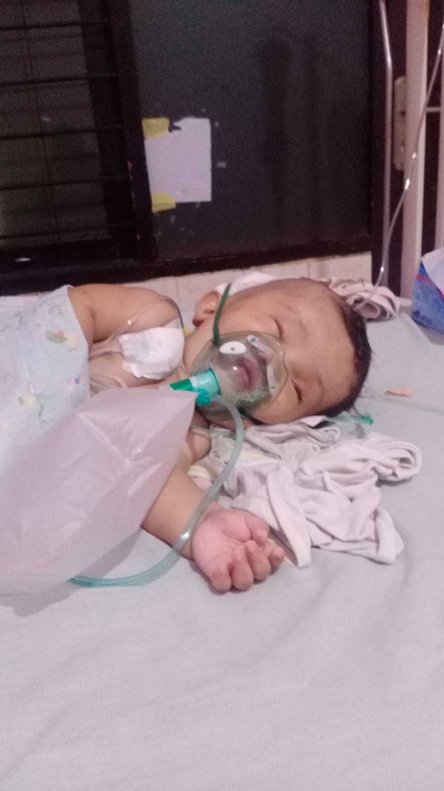 benihbaik_2023-01-03_612560e482c702bff85da71d8a7567c60cb0e234_jpeg