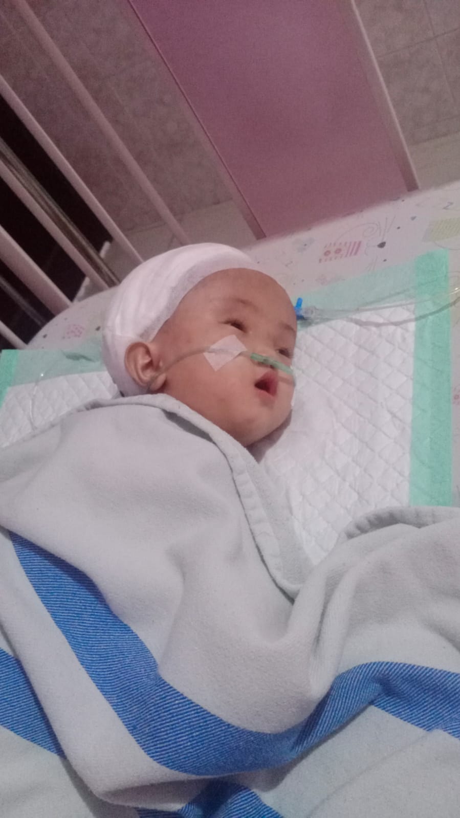 benihbaik_2023-01-03_9e61840c2ade6c41aef3b0f12b265e16455b3261_jpeg