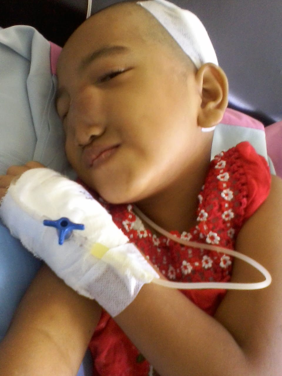 benihbaik_2023-01-03_bc25926364a1a7c8524ecbacb169da0025518fda_jpeg