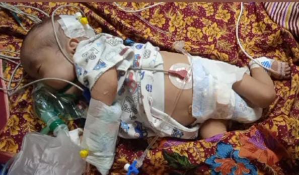 benihbaik_2023-01-04_514a316c7318ac774468c38444efbc6c482cd4a1_jpeg