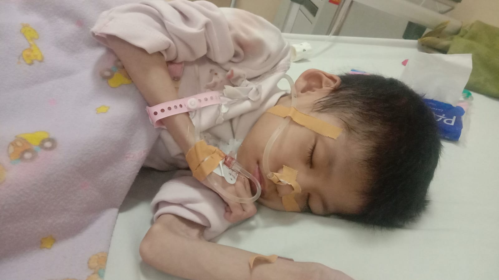 benihbaik_2023-01-05_e13dd355f88a4b26a8ecd6f9b11d9216803270f9_jpeg