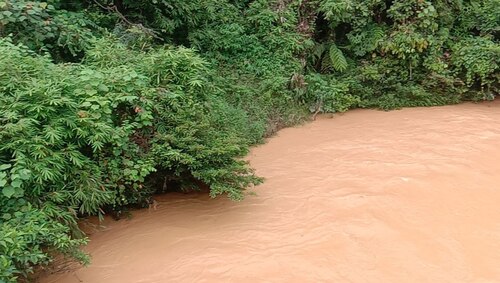 benihbaik_2023-01-09_4d06bcb77e03cacba4713465b0a087ca0d933e76_jpeg