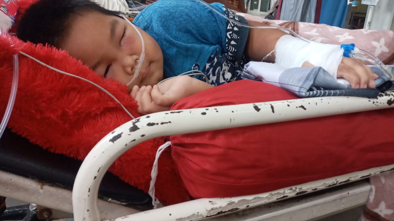 benihbaik_2023-01-09_58054b8a90c30ccbdf8df39da7b0db700b9ea2ce_jpeg