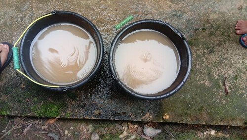 benihbaik_2023-01-09_89c1fabb49770c447e85f26f034ec9af4a44dbbb_jpeg