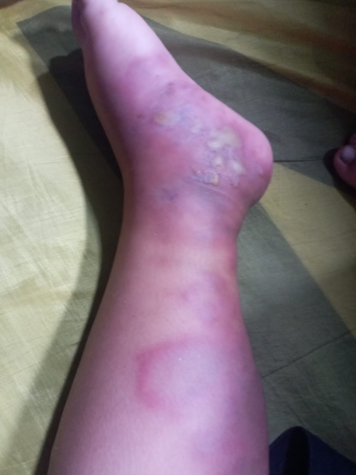 benihbaik_2023-01-09_b556260600462930cab66ebffea7a3b5217fd2ee_jpeg