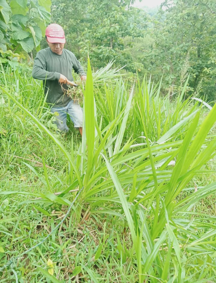 benihbaik_2023-01-12_67b618de4e0cc55c4c7053f68976060113991c16_jpeg