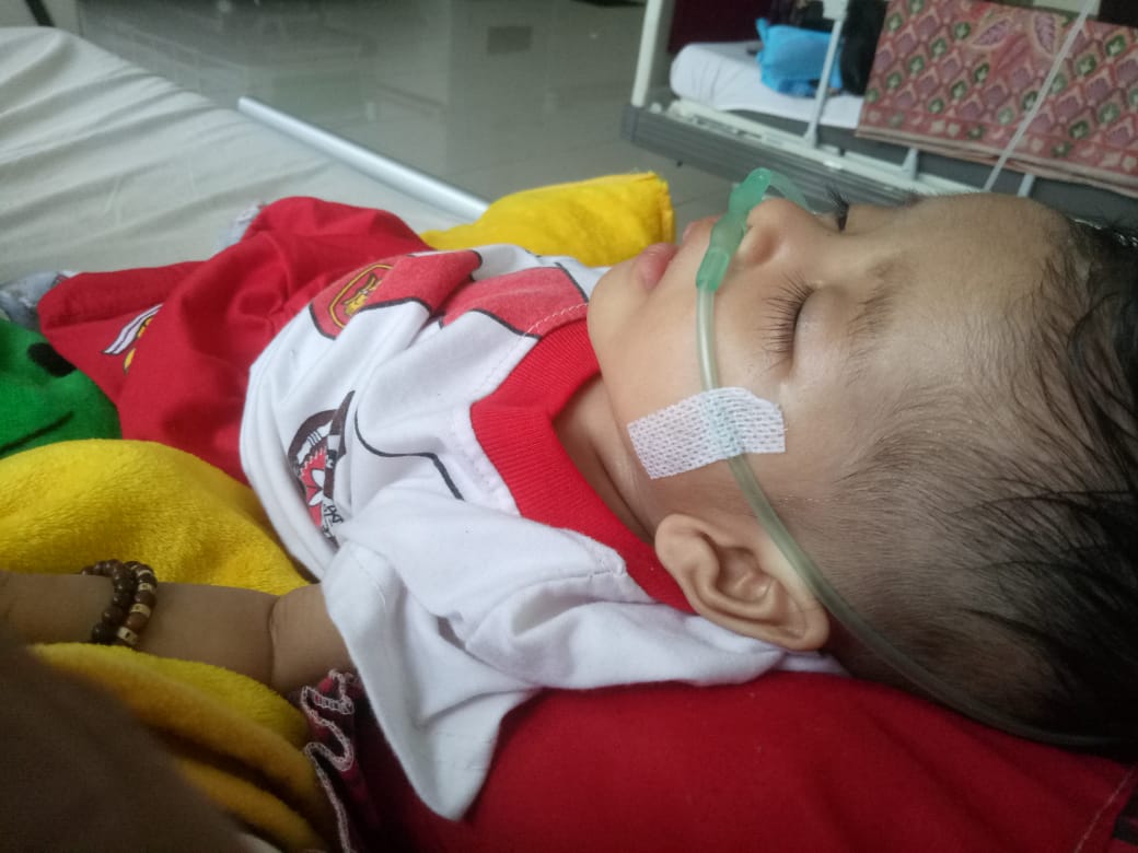 benihbaik_2023-01-12_9d40ba051474613469e69a9c06cb44968a8703b8_jpeg