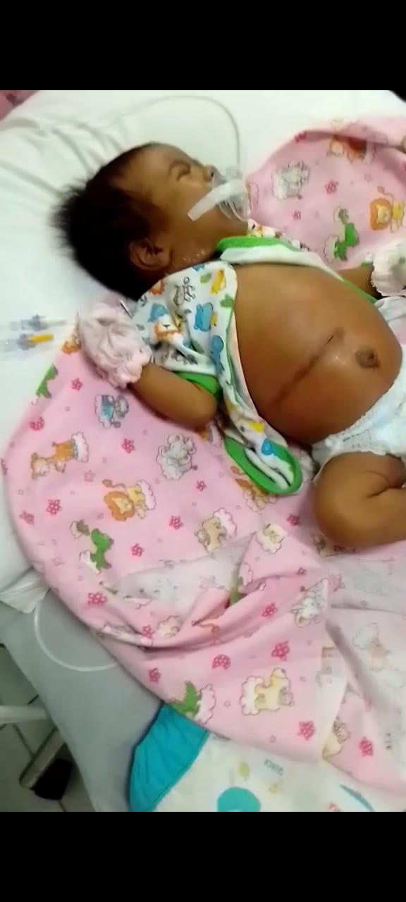 benihbaik_2023-01-13_1619a84237a3fff341c0b7bd0fba0b64d5ad1851_jpeg