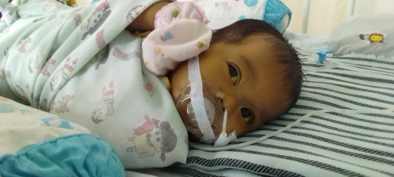 benihbaik_2023-01-13_8b61e7597f3a357202321c4e8b1e4030502d3505_jpeg