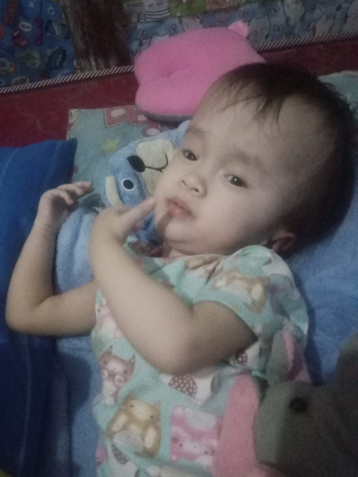 benihbaik_2023-01-18_14df8db840664e6440b25afff8f8bd1d44a31fbe_jpeg