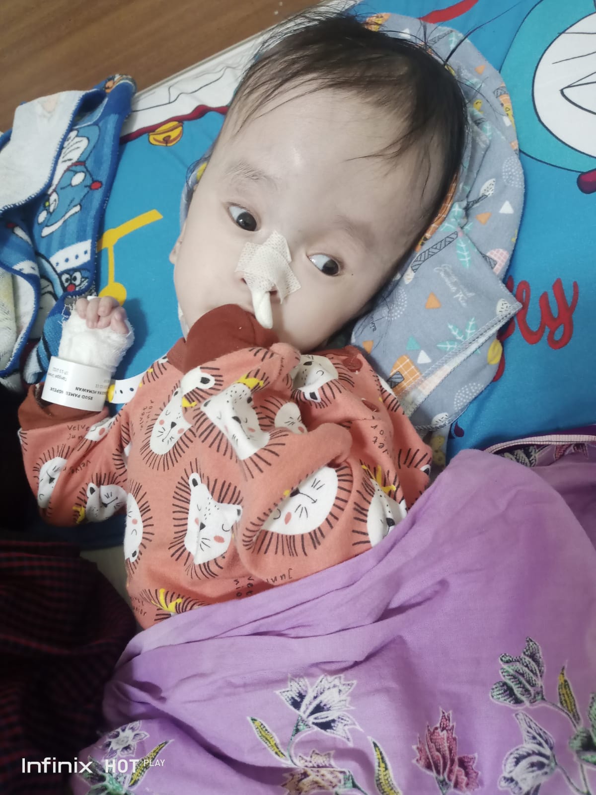 benihbaik_2023-01-18_15ba44595a58d71ee86c1201dfcaf17f4fc2ecd9_jpeg