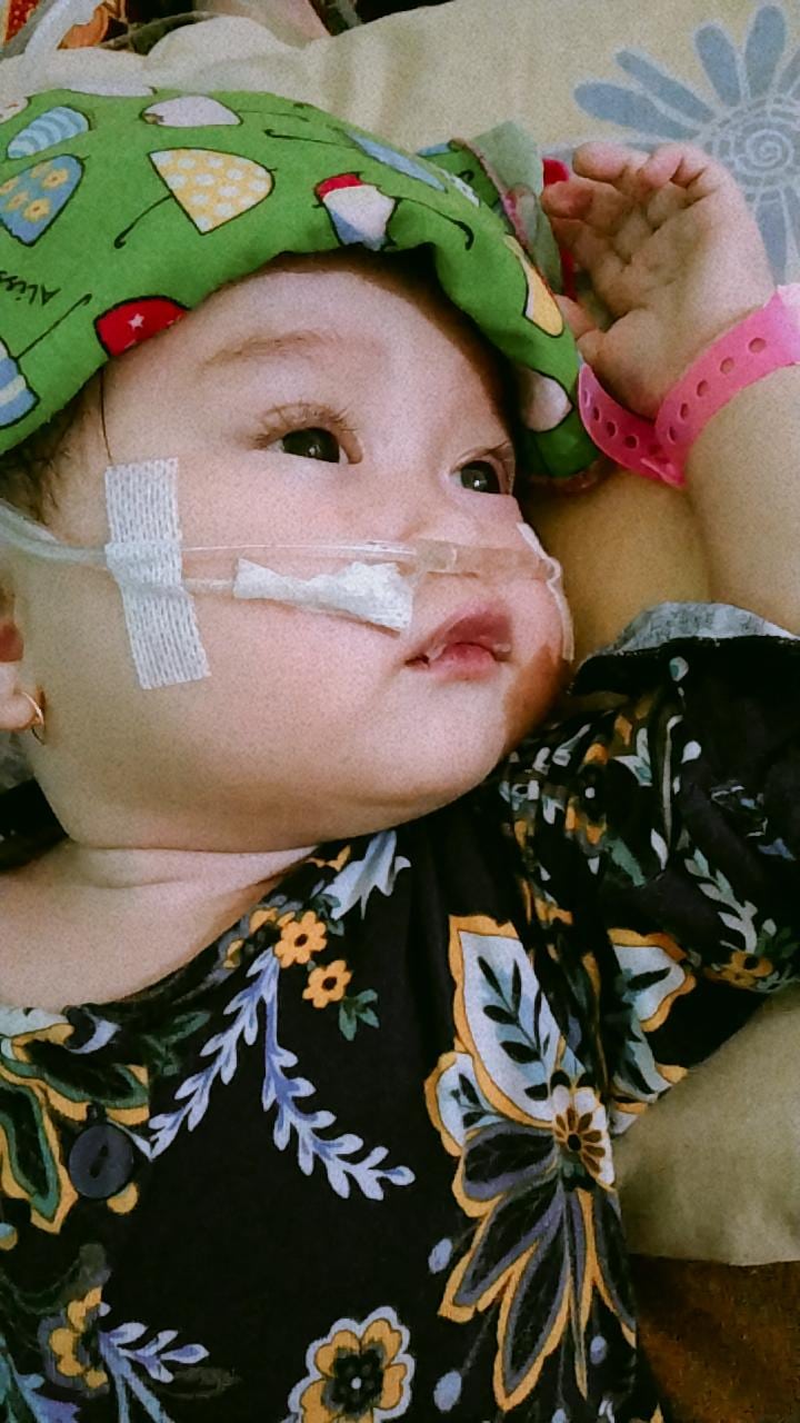 benihbaik_2023-01-18_7cfc598853765f377992ba4e6d7752fac92cf500_jpeg