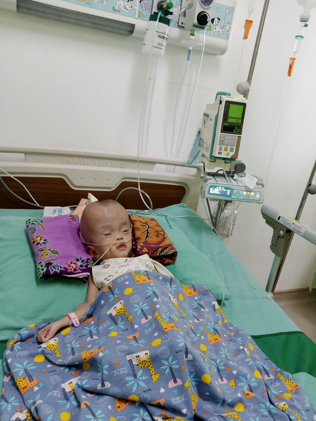 benihbaik_2023-01-18_e4d05ed96a83c81acd4426dc166a8329c1848a75_jpeg