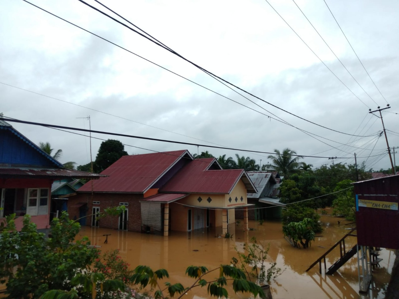 benihbaik_2023-01-25_60c8b3e392844e6862e864c9bdc309c98781d504_jpeg