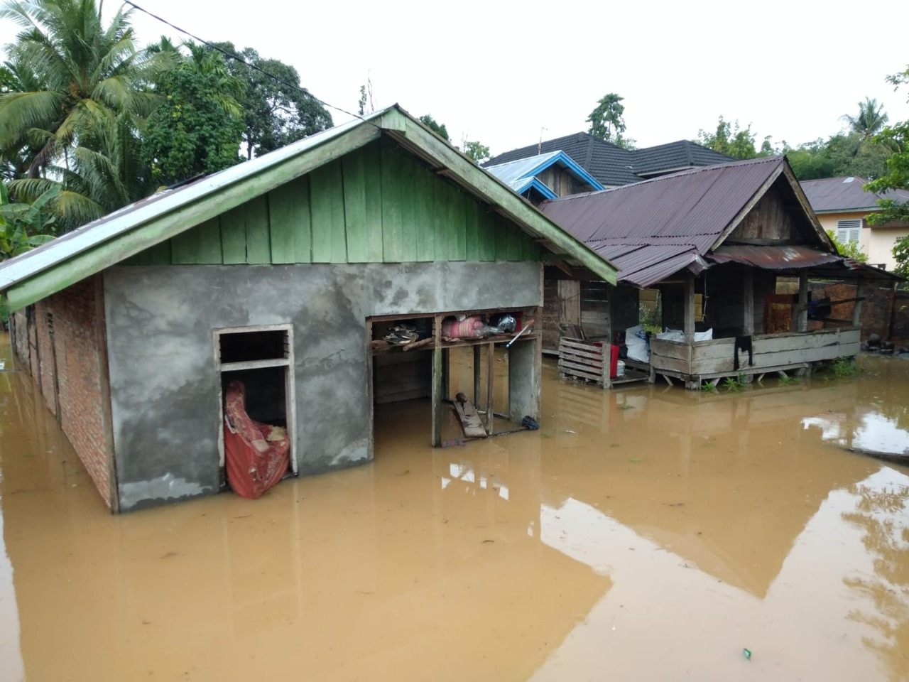 benihbaik_2023-01-25_a6d68671b9fcc3c6d1c42dc3a02f35fda25b941c_jpeg