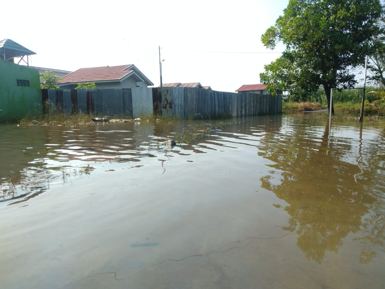 benihbaik_2023-01-25_fc8181d6a2804ce8e8f54a29dd58d0dd3459fa71_jpeg