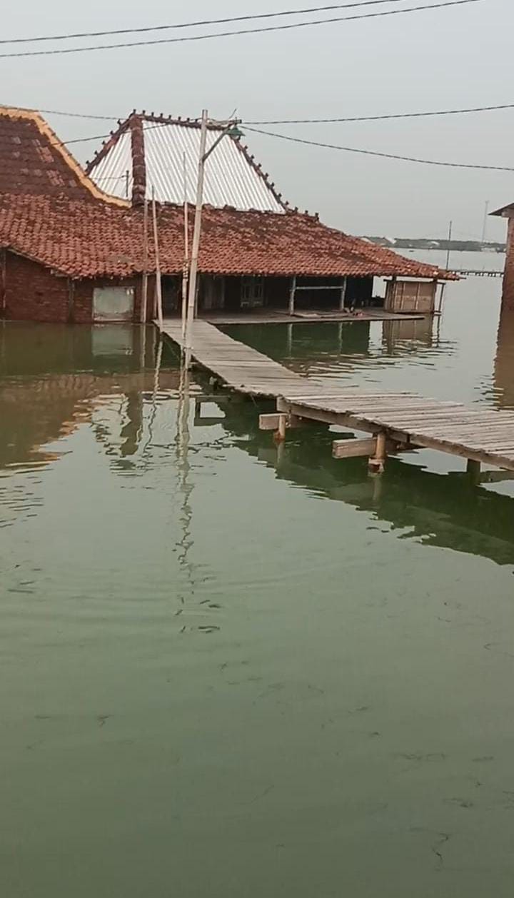 benihbaik_2023-01-26_6b9daf1f2b5d125953e823a95f2b841bb114c4ae_jpeg