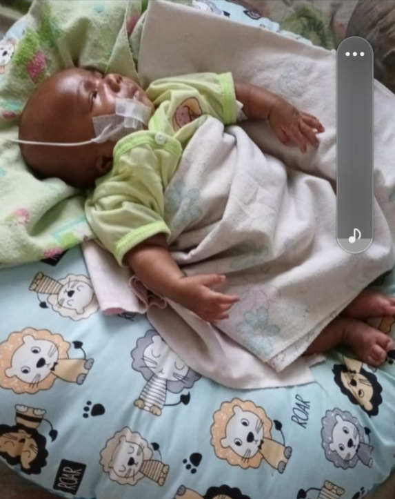 benihbaik_2023-01-26_c00518eeecfc9bcde623330592f607a2a6e8bb6a_jpeg