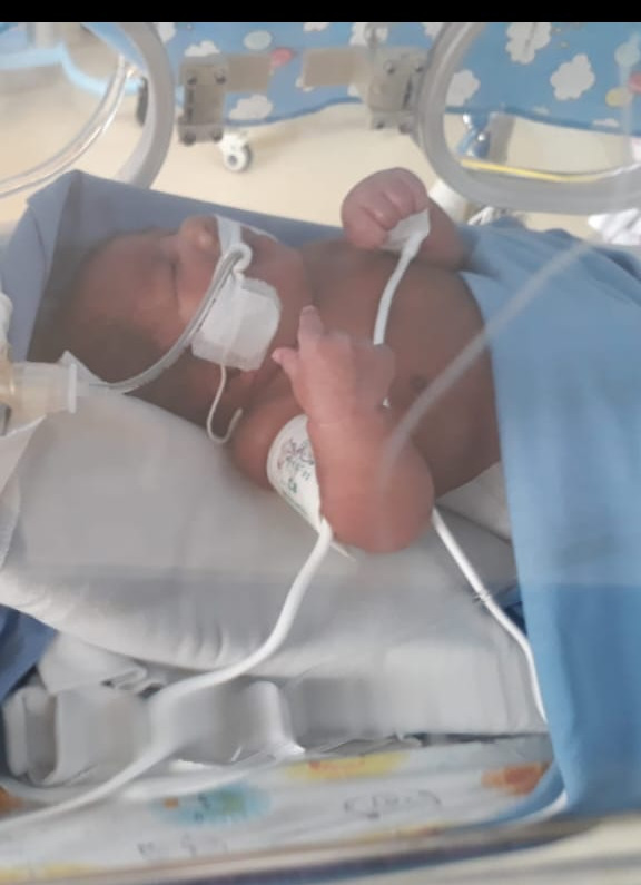 benihbaik_2023-01-26_c239fdde1b5157417ad6511f093b577bda19d2b7_jpeg