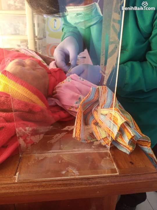 benihbaik_2023-01-27_e32ec0ac3599489442a9156b042dc619b54cd67c_jpeg