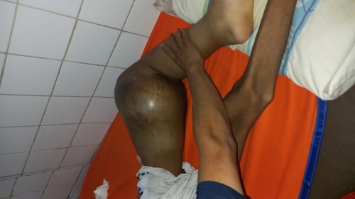 benihbaik_2023-02-08_755773c1397ce77b9f0429b5ecfa67547c5bca19_jpeg