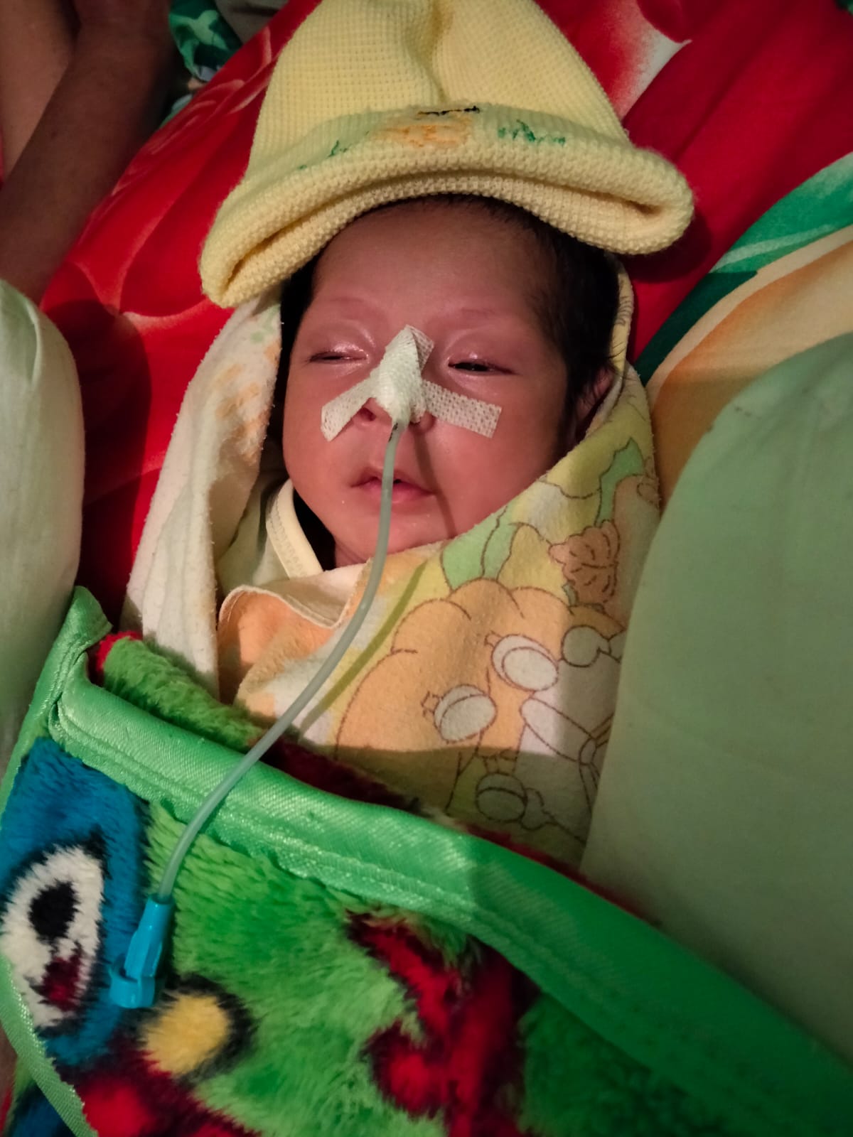 benihbaik_2023-02-09_8db85f88361bf19cf1da0d49751cece627b55fb8_jpeg