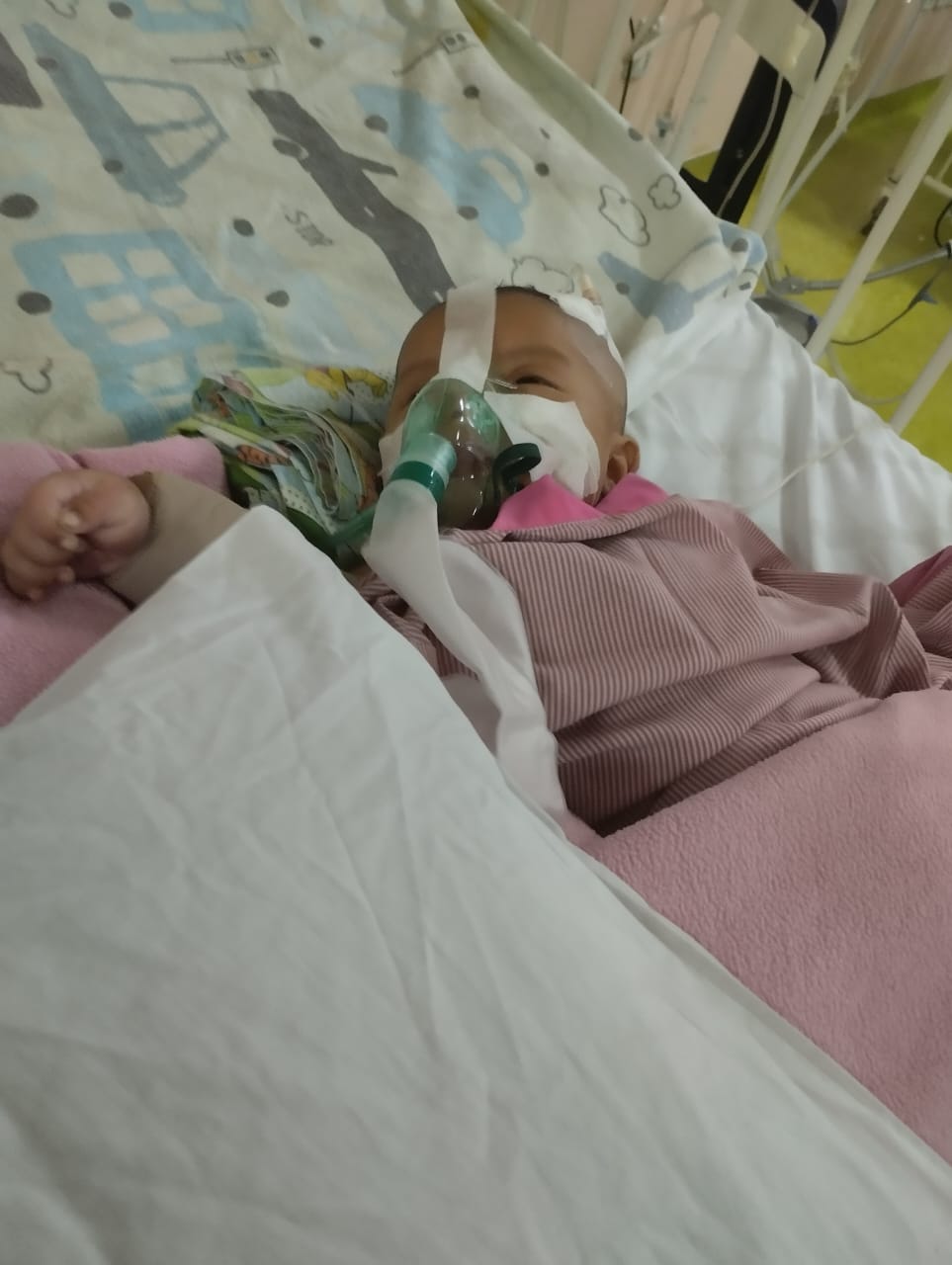 benihbaik_2023-02-10_9b7cc0e2aab8aca7ce5d93a03c6e02058c5c9a89_jpeg