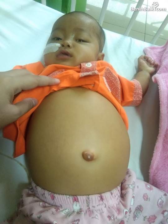 benihbaik_2023-02-14_a0b533eaace7cb29f0db8134e9d0fcd043204804_jpeg