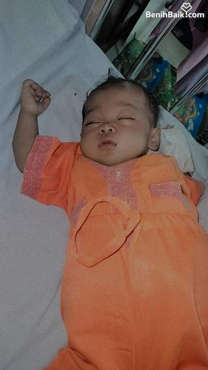 benihbaik_2023-02-14_e6c7a8464723f06981c6aaf1b46b78c1b5b12a8d_jpeg