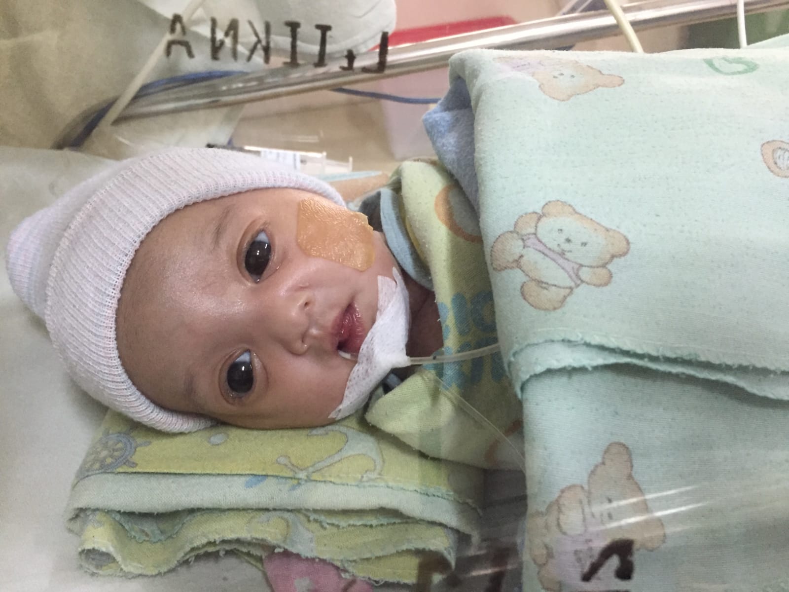 benihbaik_2023-02-14_ff4c163c2a5f30ce8edfdf46a650a15b98c3811d_jpeg