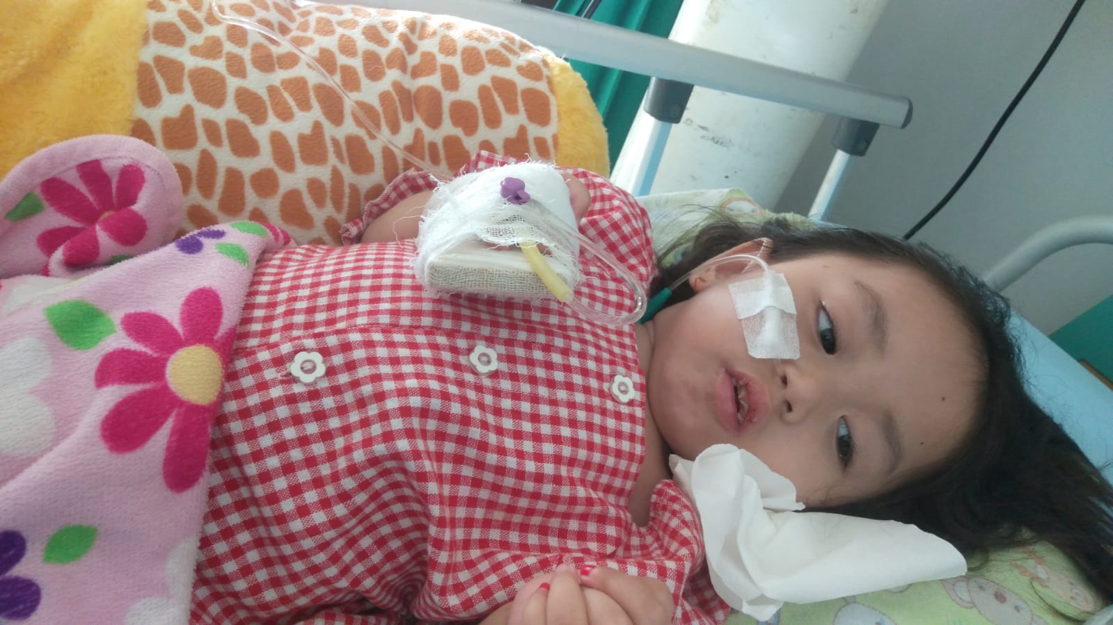 benihbaik_2023-02-15_3e73e15964b8c5861e80438e57ff9ef09162451a_jpeg