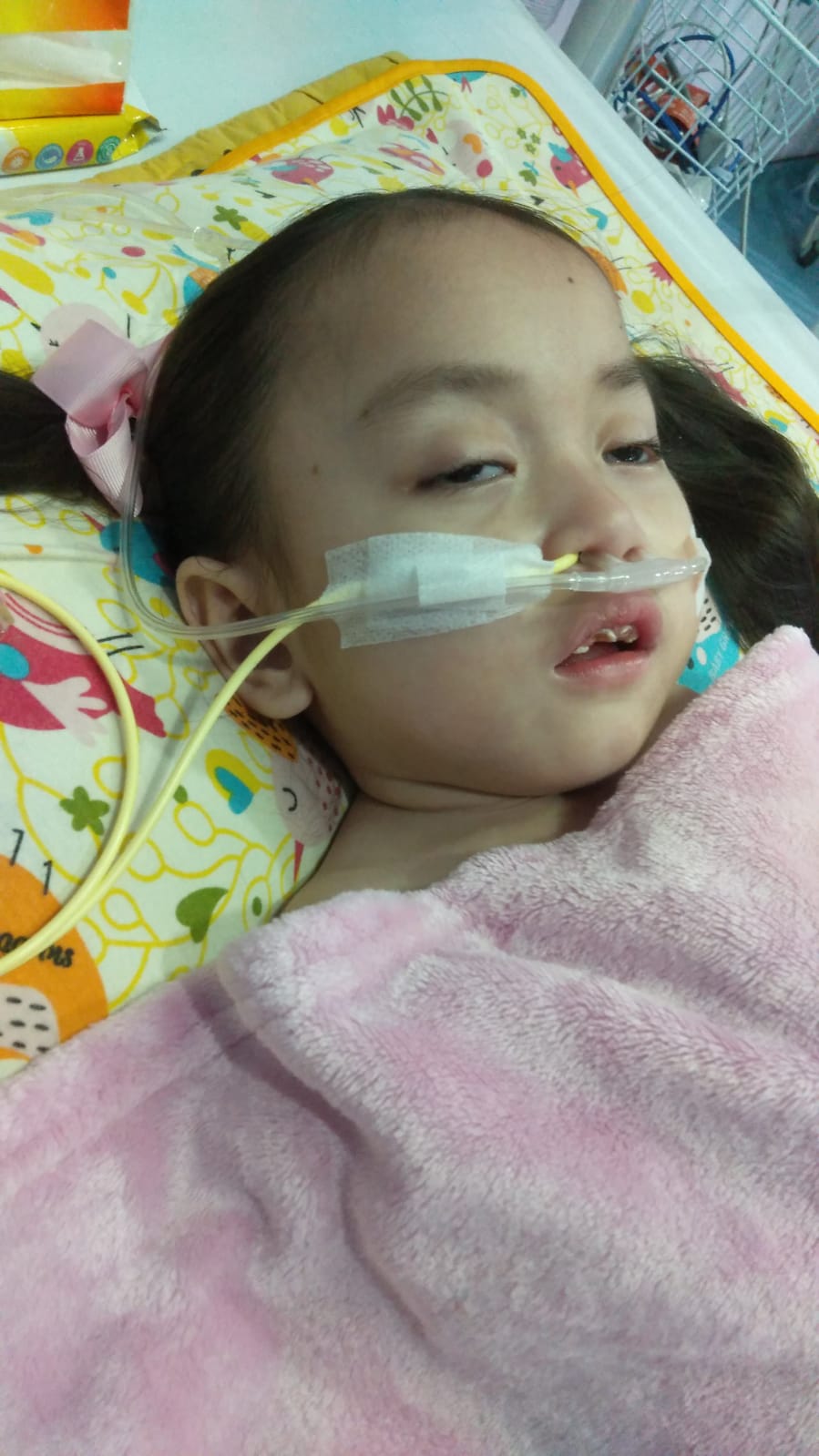 benihbaik_2023-02-15_6be6e9bec2d7a2f5b1325328ecb53d7cc3f6e709_jpeg