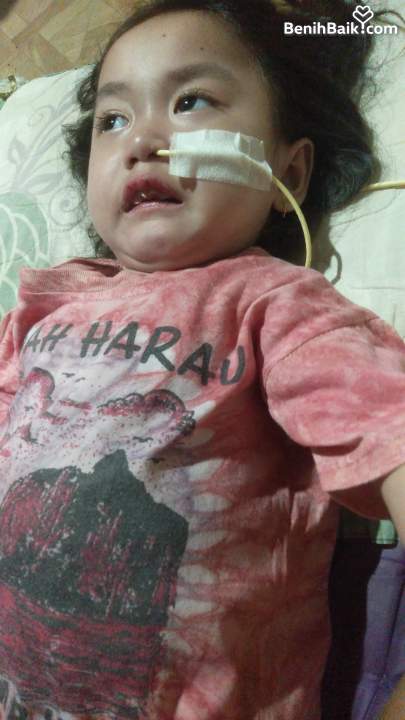 benihbaik_2023-02-15_d882ddbae9485d5f796bda1891e7163f57a218b2_jpeg