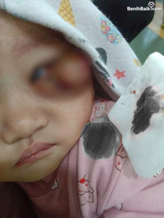 benihbaik_2023-03-02_21faa5e06f5e2845d3db699be368adf74cb98e2d_jpeg