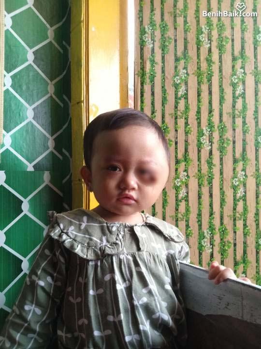 benihbaik_2023-03-02_abcf1218a18bdd9aeb759bf627874e886008d68a_jpeg