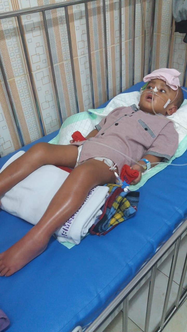 benihbaik_2023-03-02_e452a26799af3fd3d334c850a7e42262dc9786a6_jpeg