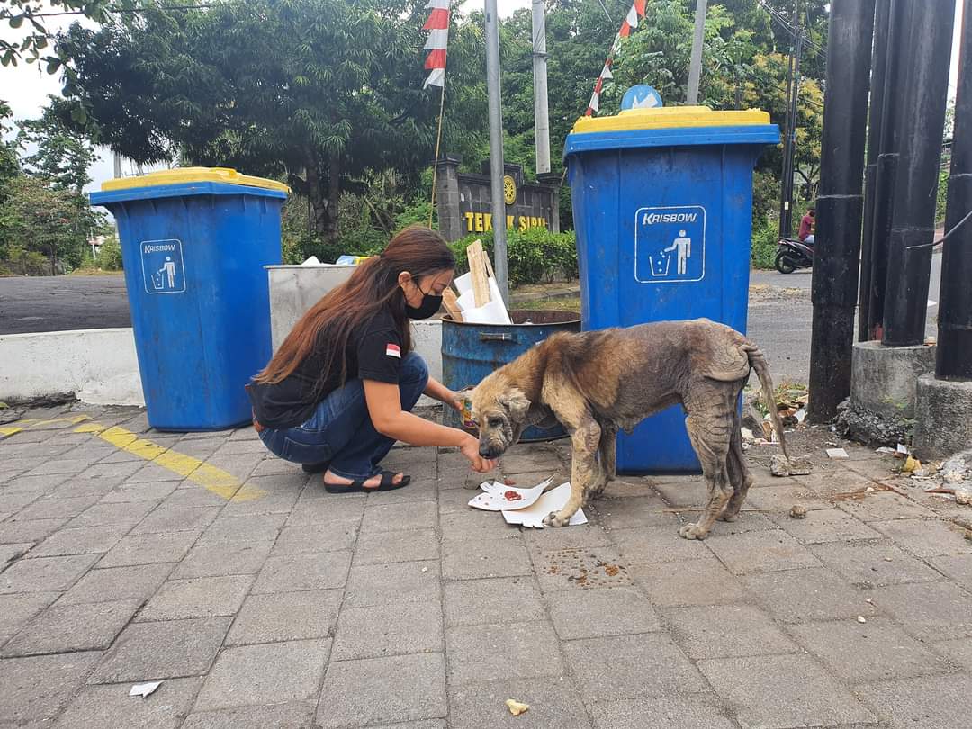 benihbaik_2023-03-02_ebba3bfdcd955d677fb6246664e61edd4a1a1f74_jpeg