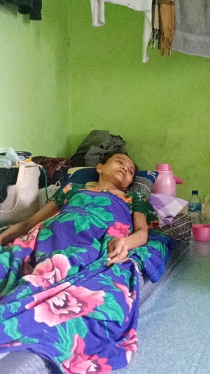 benihbaik_2023-03-03_b14bec56ff56267aa8b15603da0b1c1c25257f13_jpeg