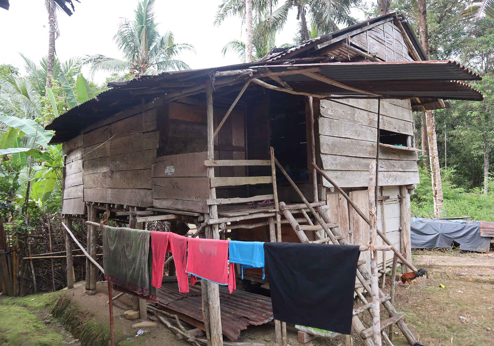 benihbaik_2023-03-08_8e70684a8429edd4a2d2cf74a4be2e8272a74e98_jpeg