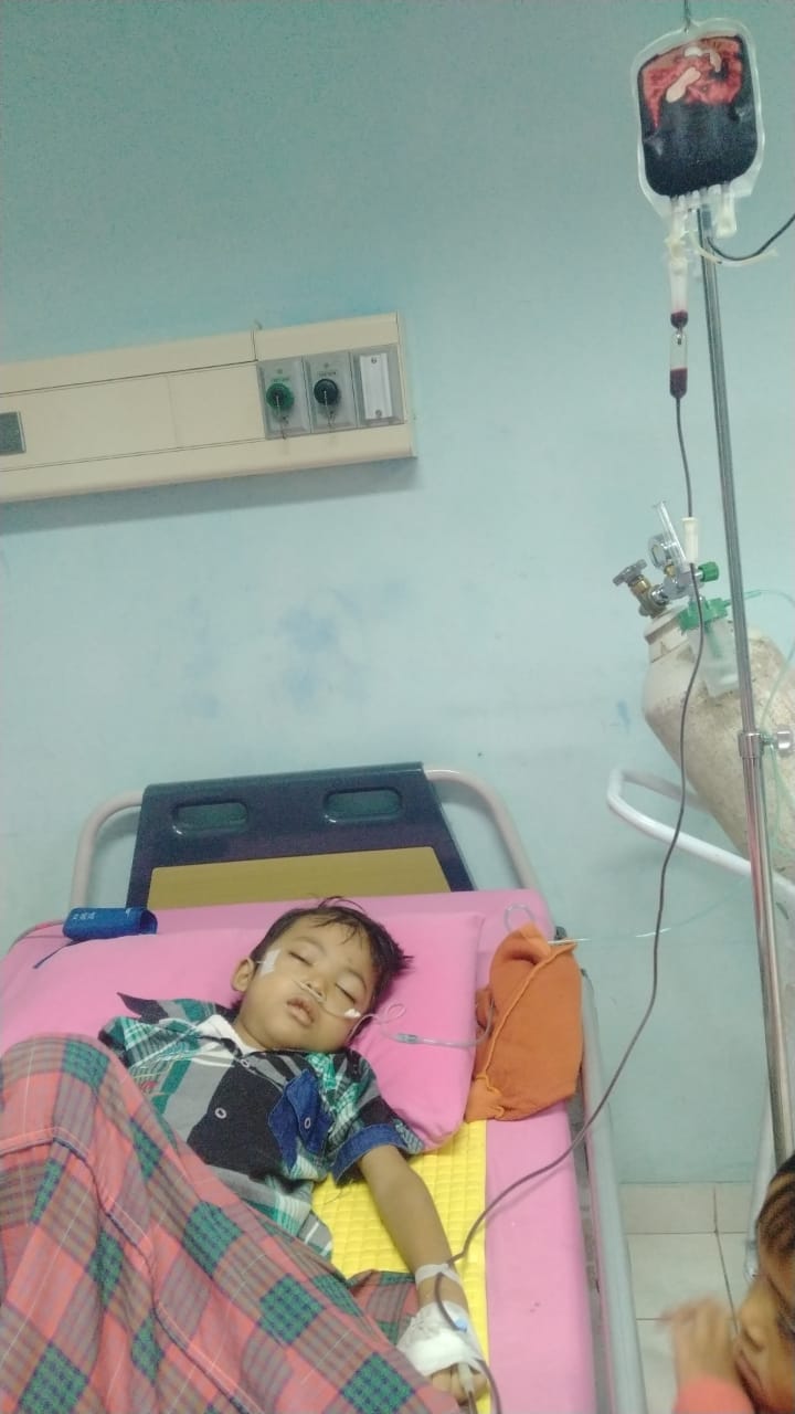 benihbaik_2023-03-09_37c7331edc7692e974073c7bfcda5b72e38cec99_jpeg