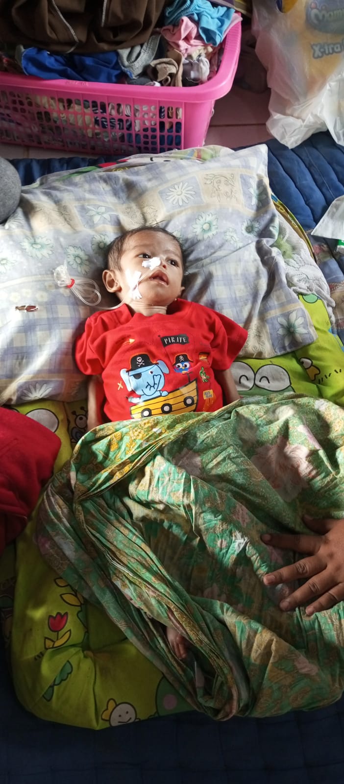 benihbaik_2023-03-13_58b39ced47258fd483eba6137dcf8e0c207044b6_jpeg