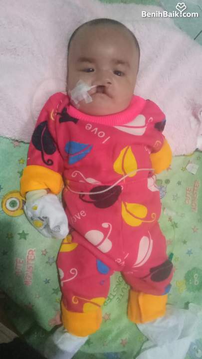 benihbaik_2023-03-21_1e1bf3d0347e9e0406641db144e12e09ff8f6fa0_jpeg