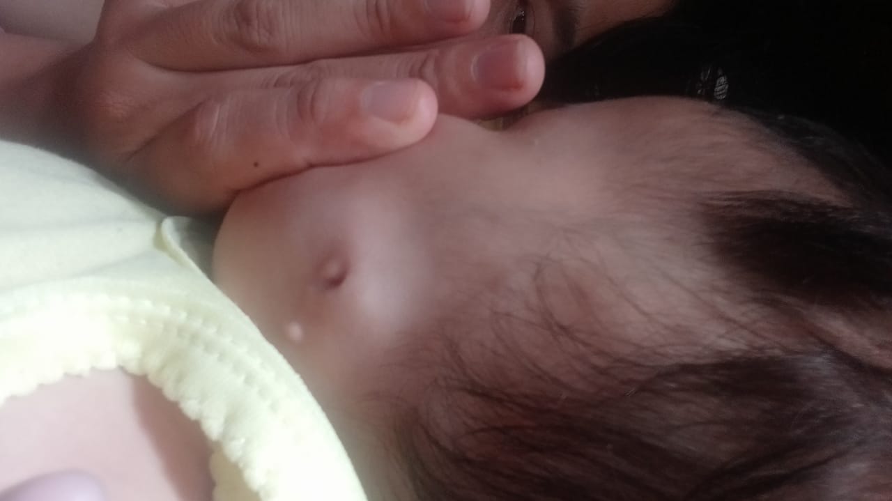 benihbaik_2023-03-21_48b2bf95d420257889941916502661b34046641f_jpeg