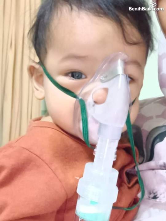 benihbaik_2023-03-28_2daf11c56e34e84d676d99002593fd2907f91cc1_jpeg