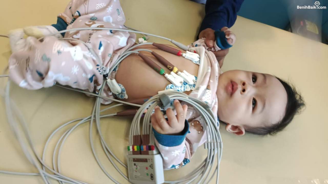 benihbaik_2023-03-28_e052b100e2ccea991f6f92c29a78fb9f93d544ef_jpeg