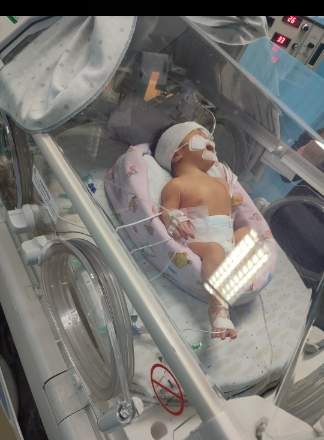 benihbaik_2023-04-04_46fd0139fc923e800b14f33caad6d847ab572245_jpeg